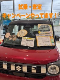 試乗・査定キャンペーンやってます！